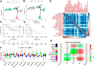 Bioinformatics analyses for the identification of tumor antigens and immune subtypes of gastric adenocarcinoma